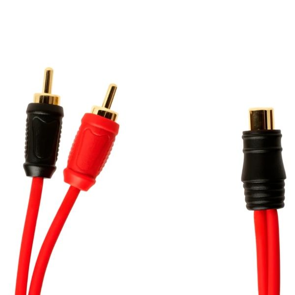 Cabo RCA Y 1 Fêmea e 2 Machos 30 cm - Nak...